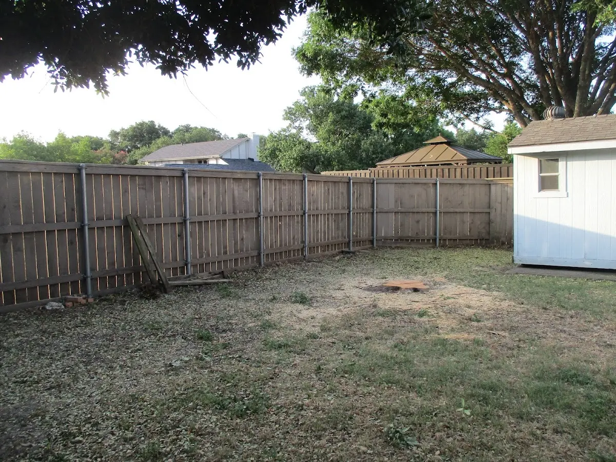Cleared yard after professional tree removal in Papaaloa