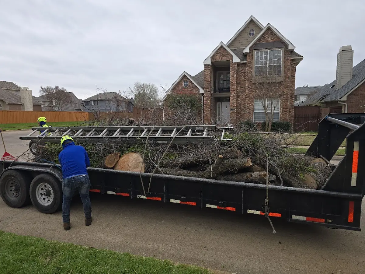 Expert Tree Fertilization with proper safety equipment in Papaaloa